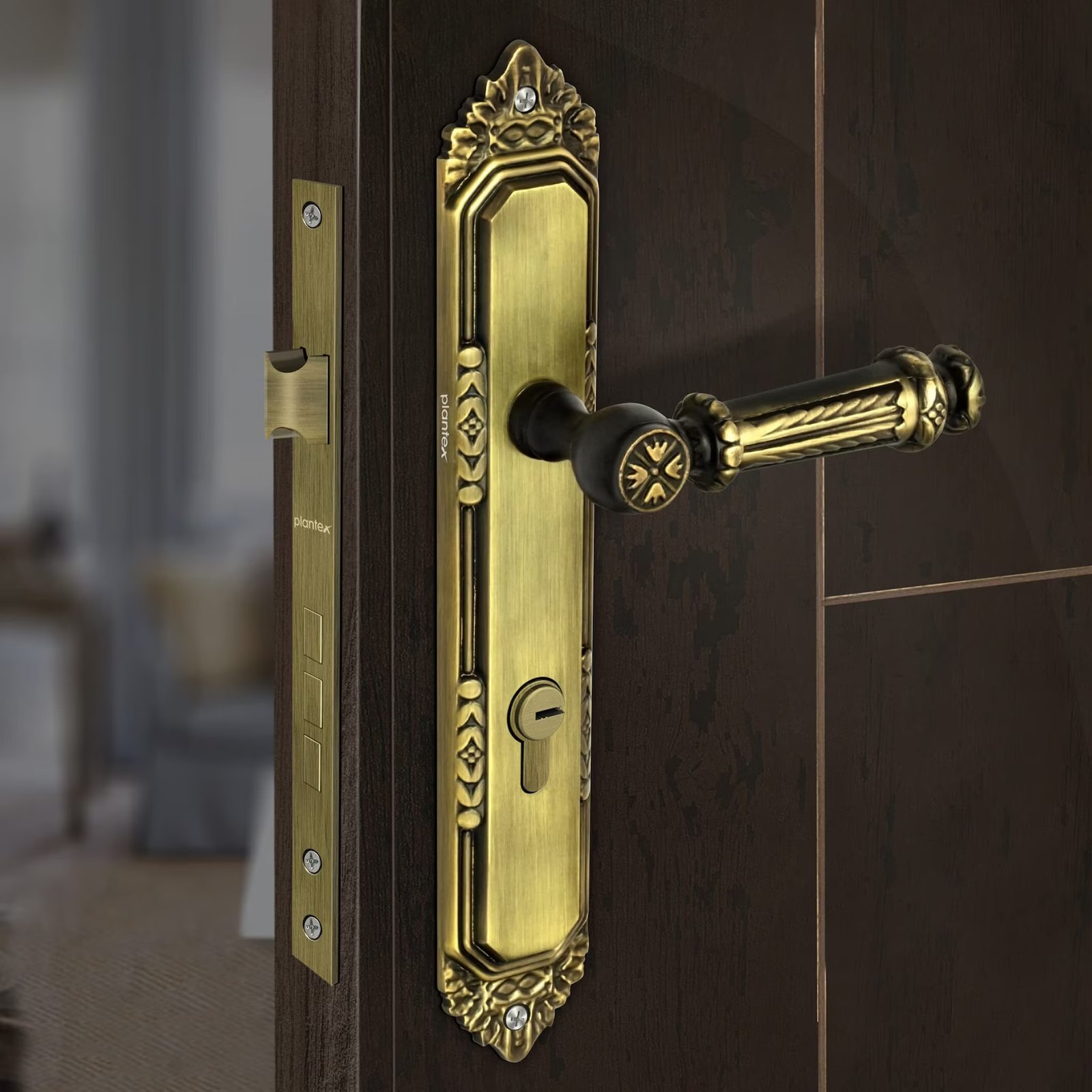 Elevator Door Lock